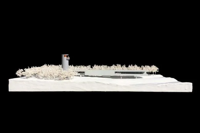 BIM Architecture | Swan Lake Wetland Park Landscape Elegance Corridor and Elegance Bird Tower/Trail · Architectural Firm