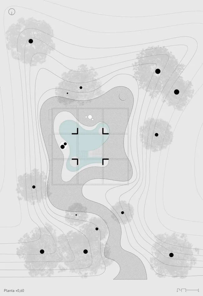 BIM Architecture | Shaking Hands with Trees and Branches, A Simple Home Made of Concrete/Estudio Botteri Connell