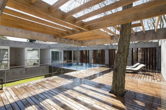 BIM Architecture | Shaking Hands with Trees and Branches, A Simple Home Made of Concrete/Estudio Botteri Connell