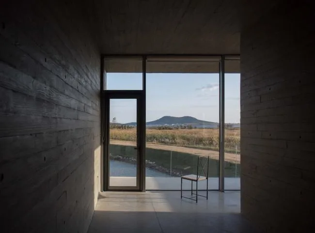 BIM Architecture | Swan Lake Wetland Park Landscape Elegance Corridor and Elegance Bird Tower/Trail · Architectural Firm