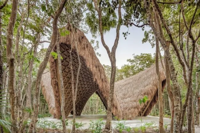 BIM Architecture | Luum Temple, Natural Beauty under Bamboo Parameter Digitization/CO-LAB Design Office