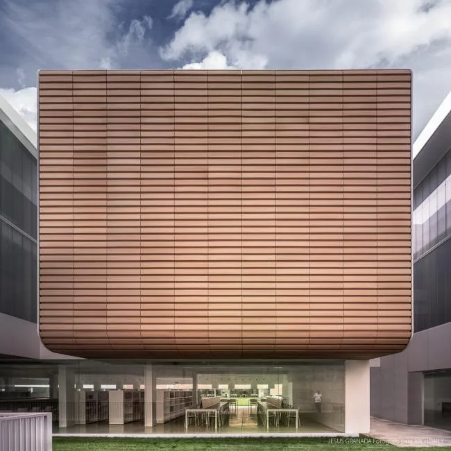 BIM Architecture | Neat Queue Like a Companion: In the Middle of Teacher Training/Ram ó n Fern á ndez Alfonso