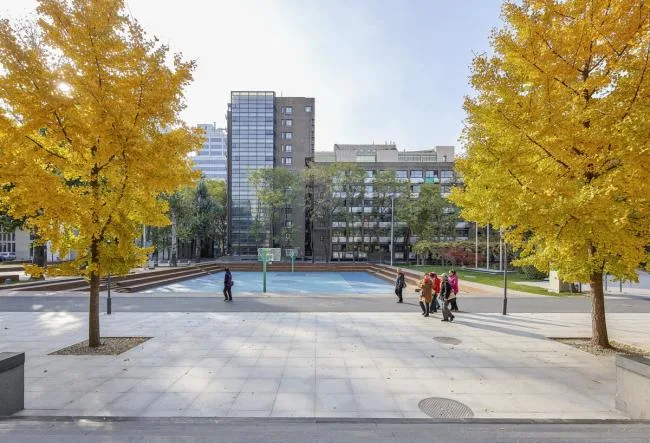 BIM Architecture | Retelling Campus Stories - Peking University Affiliated High School and Xiangyang Future School Campus Landscape Elegance Reform/Crossboundaries