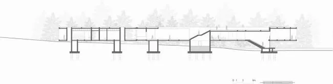 BIM Architecture | Swan Lake Wetland Park Landscape Elegance Corridor and Elegance Bird Tower/Trail · Architectural Firm