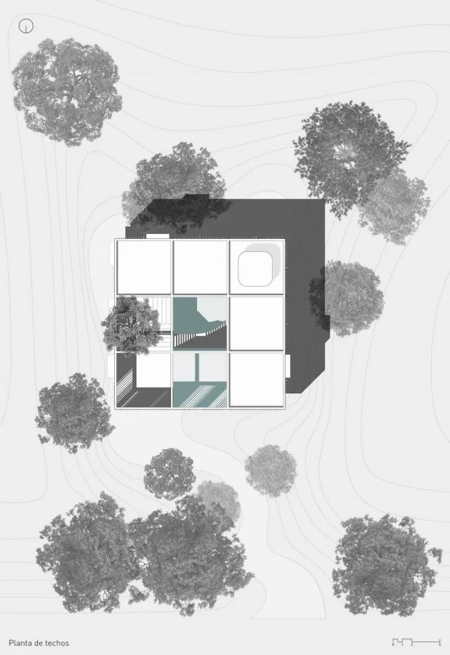 BIM Architecture | Shaking Hands with Trees and Branches, A Simple Home Made of Concrete/Estudio Botteri Connell