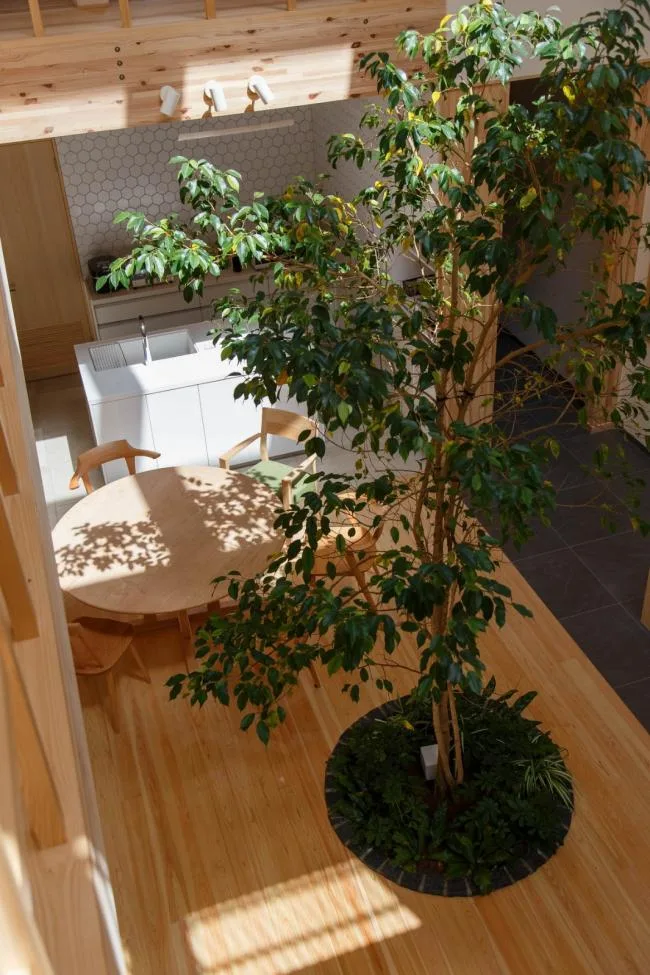 BIM Architecture | Kyoto House, Moving the Courtyard into the Home/07BEACH