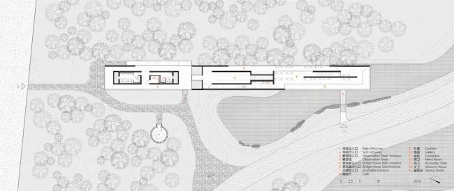 BIM Architecture | Swan Lake Wetland Park Landscape Elegance Corridor and Elegance Bird Tower/Trail · Architectural Firm