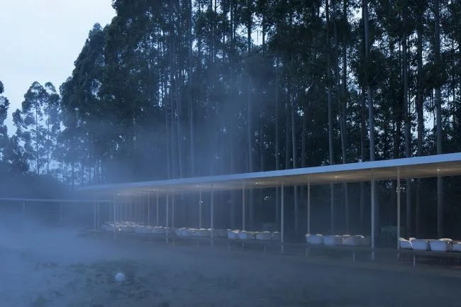 BIM Architecture | Clouds and Clouds, Ribbon Transcendence: Cloud Mirror · Flower Garden Warm Pot Restaurant/Muda Architecture