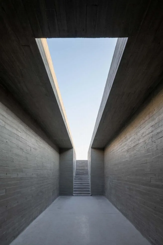 BIM Architecture | Swan Lake Wetland Park Landscape Elegance Corridor and Elegance Bird Tower/Trail · Architectural Firm