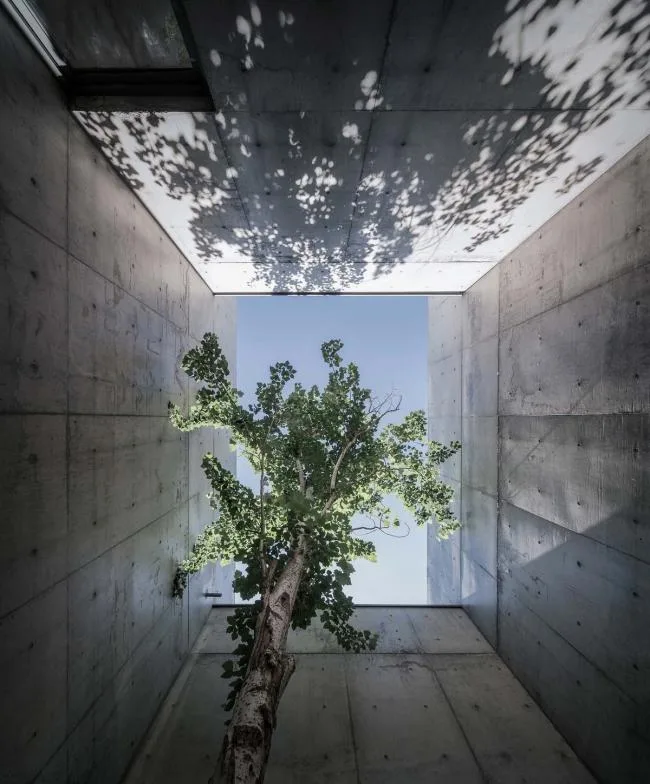 BIM Architecture | Seaside Restaurant/Vertical Building