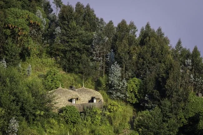 BIM Architecture | Luxury Hotel Hidden in the Thick Forest - Bisate Vacation Home/Nicholas Plewman Architects