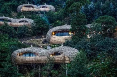 BIM Architecture: Luxury Hotel Nestled in a Dense Forest – Bisate Vacation Home by Nicholas Plewman Architects-BIM WORLD