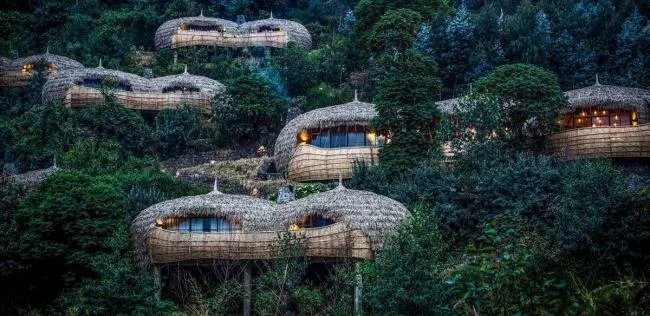 BIM Architecture | Luxury Hotel Hidden in the Thick Forest - Bisate Vacation Home/Nicholas Plewman Architects