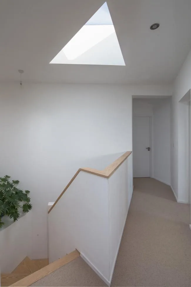 BIM Architecture | Triangular Room with Back to Back Surrounding Integration/Urban Agency