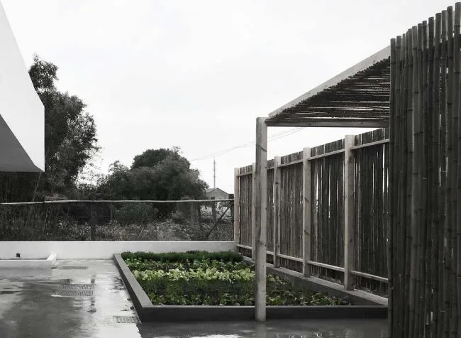 BIM Architecture | Shanghai Fengxian Nansong Village Songzhai/Zhang Lei Joint Architectural Firm