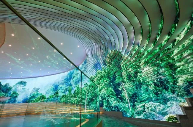 BIM Architecture | Cyber · Youyou Intermediate Media Materials Revitalize the New Life of Basements/SODA Architects