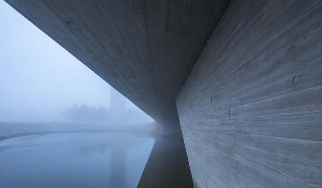 BIM Architecture | Swan Lake Wetland Park Landscape Elegance Corridor and Elegance Bird Tower/Trail · Architectural Firm
