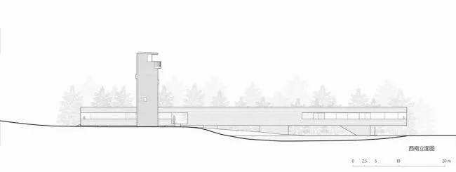 BIM Architecture | Swan Lake Wetland Park Landscape Elegance Corridor and Elegance Bird Tower/Trail · Architectural Firm