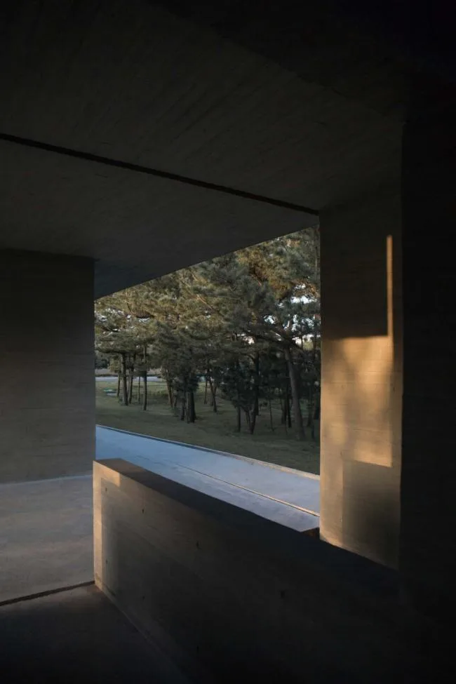BIM Architecture | Swan Lake Wetland Park Landscape Elegance Corridor and Elegance Bird Tower/Trail · Architectural Firm