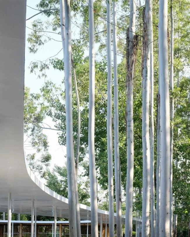 BIM Architecture | Clouds and Clouds, Ribbon Transcendence: Cloud Mirror · Flower Garden Warm Pot Restaurant/Muda Architecture