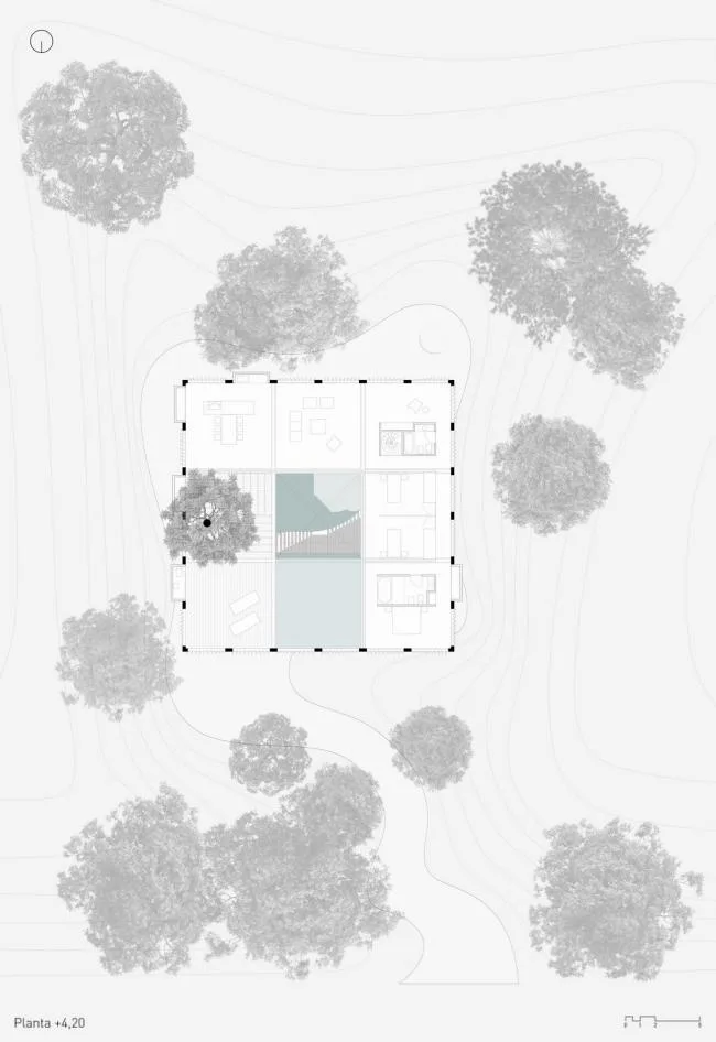 BIM Architecture | Shaking Hands with Trees and Branches, A Simple Home Made of Concrete/Estudio Botteri Connell