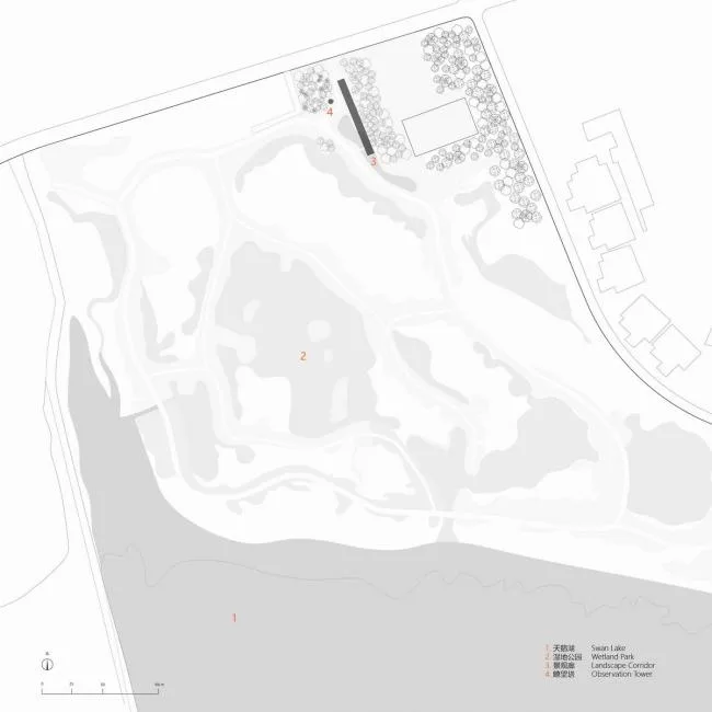BIM Architecture | Swan Lake Wetland Park Landscape Elegance Corridor and Elegance Bird Tower/Trail · Architectural Firm