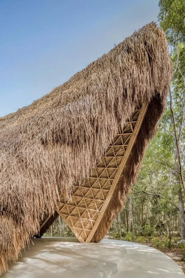 BIM Architecture | Luum Temple, Natural Beauty under Bamboo Parameter Digitization/CO-LAB Design Office