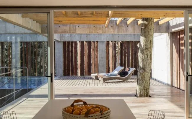 BIM Architecture | Shaking Hands with Trees and Branches, A Simple Home Made of Concrete/Estudio Botteri Connell