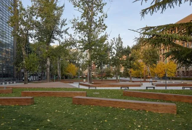 BIM Architecture | Retelling Campus Stories - Peking University Affiliated High School and Xiangyang Future School Campus Landscape Elegance Reform/Crossboundaries