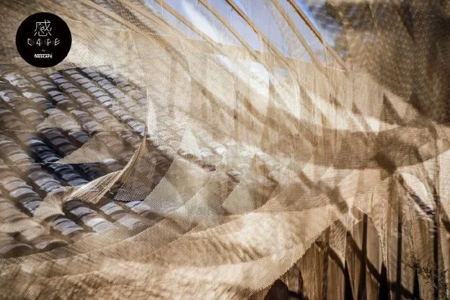 BIM Architecture | Modern Collision and Perception of Traditional Chinese Elements: Beijing Nestl é CAF É/RSAA/Zhuang Ziyu Studio