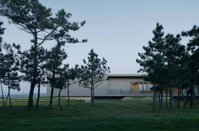 BIM Architecture | Swan Lake Wetland Park Landscape Elegance Corridor and Elegance Bird Tower/Trail · Architectural Firm