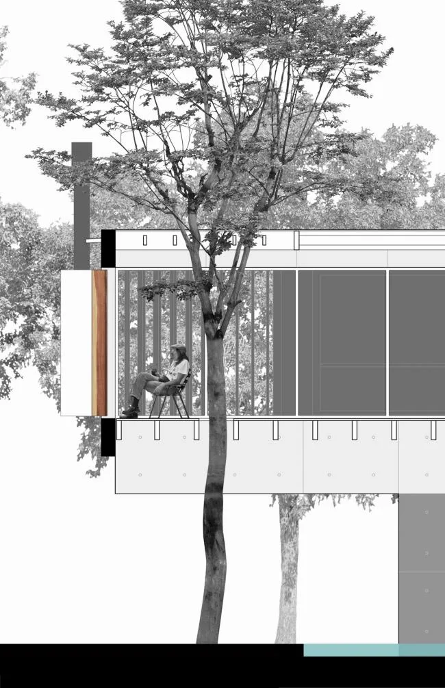 BIM Architecture | Shaking Hands with Trees and Branches, A Simple Home Made of Concrete/Estudio Botteri Connell