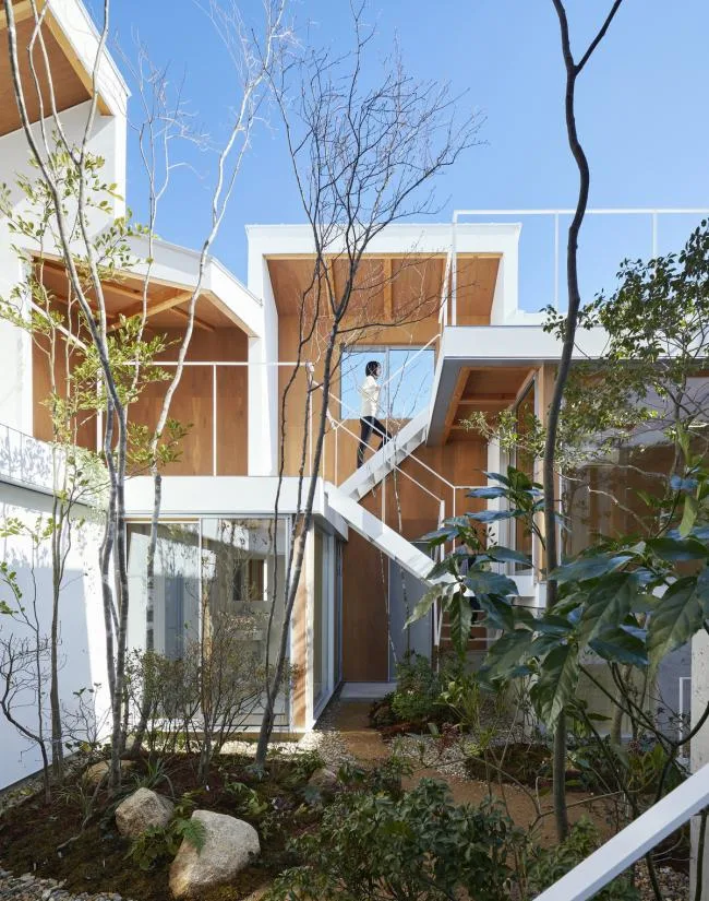 BIM Architecture | Valley Flower Garden Room in the City/Hata Yoyo Architectural Design Firm
