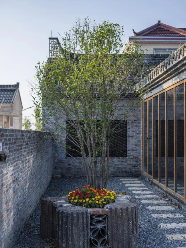 BIM Architecture | Tangbao Academy - Village Public Movement Center/Huajian Group · Shanghai Design Free Studio