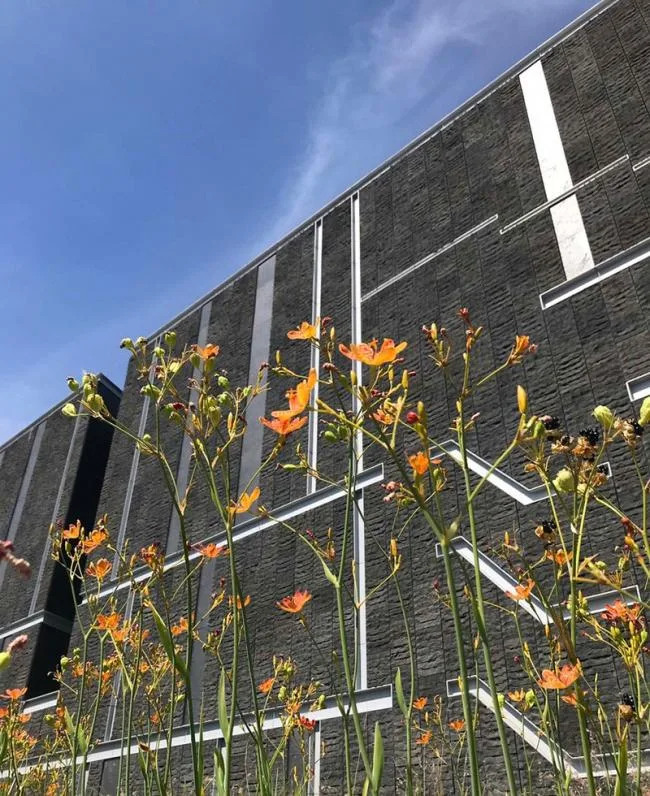 BIM Architecture | Tracing Human Civilization 5000 Years Ago: Tainan Prehistoric Museum/Yao Renxi | Dayuan Construction Factory