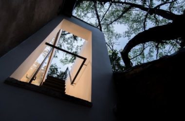 BIM Architecture: Tree Courtyard by Integrated Architecture-BIM WORLD