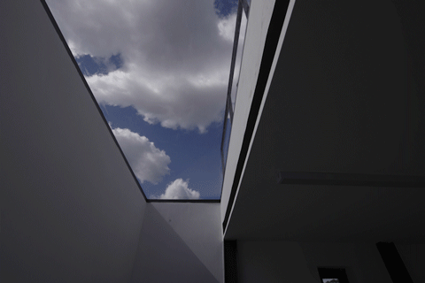 BIM Architecture | Tree Courtyard/Integrated Architecture