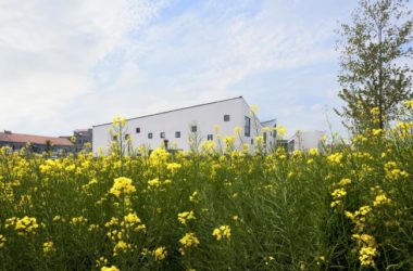 BIM Architecture at Jiangsu Shuoji Kindergarten: Bringing Hope to Left-Behind Villages | Crossboundaries, Beijing-BIM WORLD