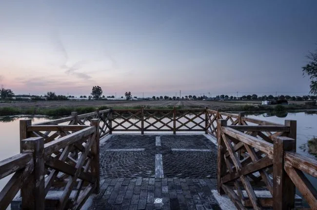 BIM Architecture | Tangbao Academy - Village Public Movement Center/Huajian Group · Shanghai Design Free Studio