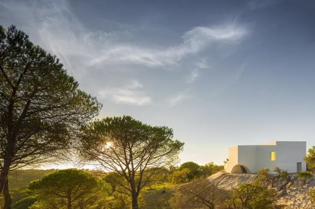 BIM Architecture | White Sculpture 'Flower' on Desolation: Fontinha Room/Buenos Aires Mateus+SIA arquitectura