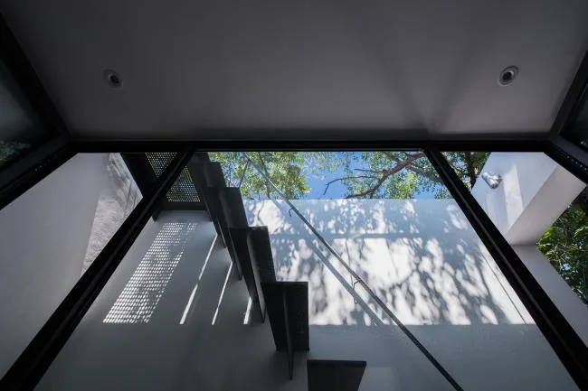 BIM Architecture | Tree Courtyard/Integrated Architecture