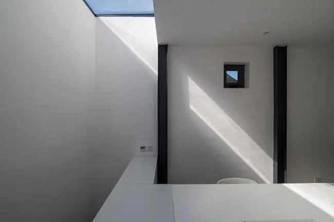 BIM Architecture | Tree Courtyard/Integrated Architecture