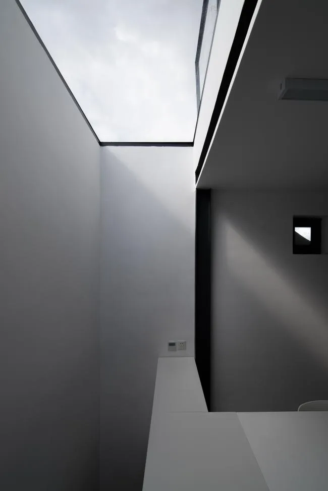 BIM Architecture | Tree Courtyard/Integrated Architecture