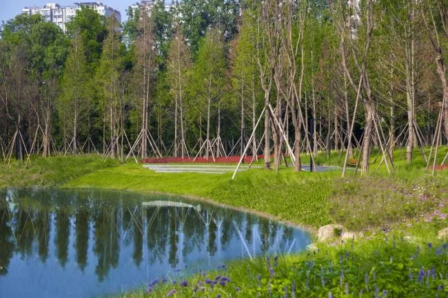 BIM Architecture | Shaheyuan Park/Aobo Scenic Area