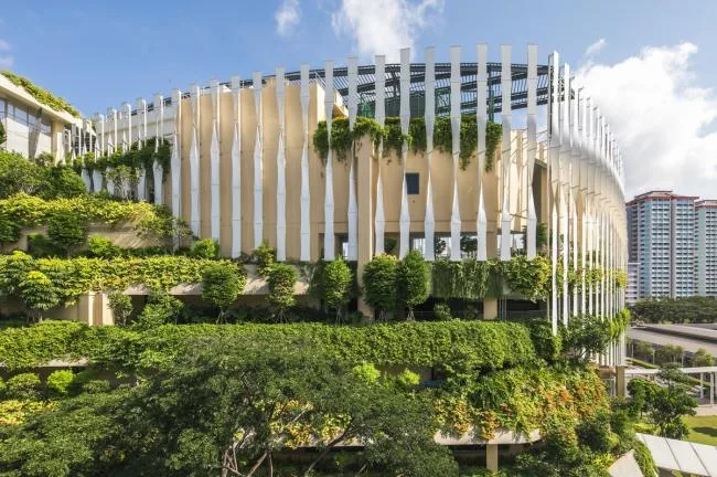 BIM Architecture | Public Communities in the Jungle: Wuluo Heartbeat Building/ONG& ONG