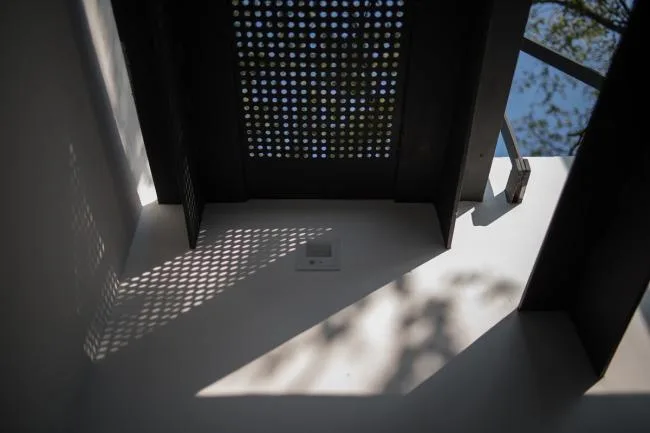BIM Architecture | Tree Courtyard/Integrated Architecture