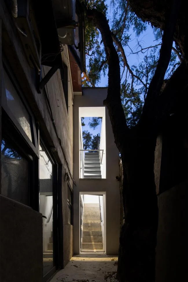 BIM Architecture | Tree Courtyard/Integrated Architecture