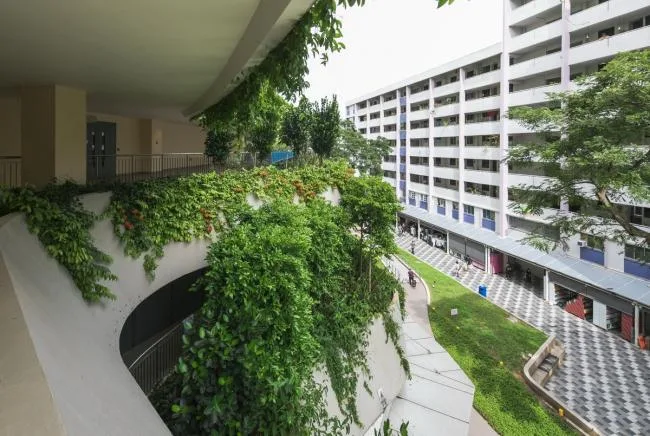 BIM Architecture | Public Communities in the Jungle: Wuluo Heartbeat Building/ONG& ONG