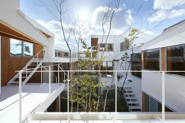 BIM Architecture | Valley Flower Garden Room in the City/Hata Yoyo Architectural Design Firm