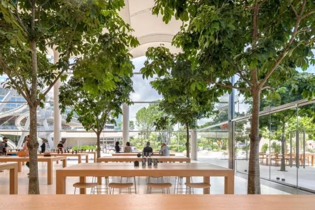 BIM Architecture | Apple Miami Store/Foster Partners